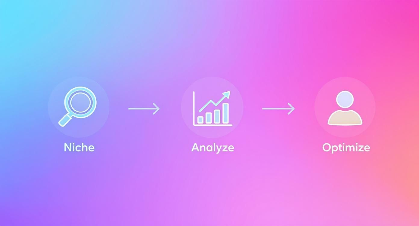 Infographic about how to get more followers on instagram
