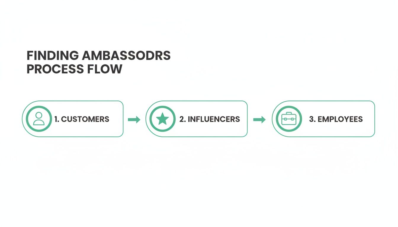 A process flow diagram illustrating three key sources for finding brand ambassadors: customers, influencers, and employees.