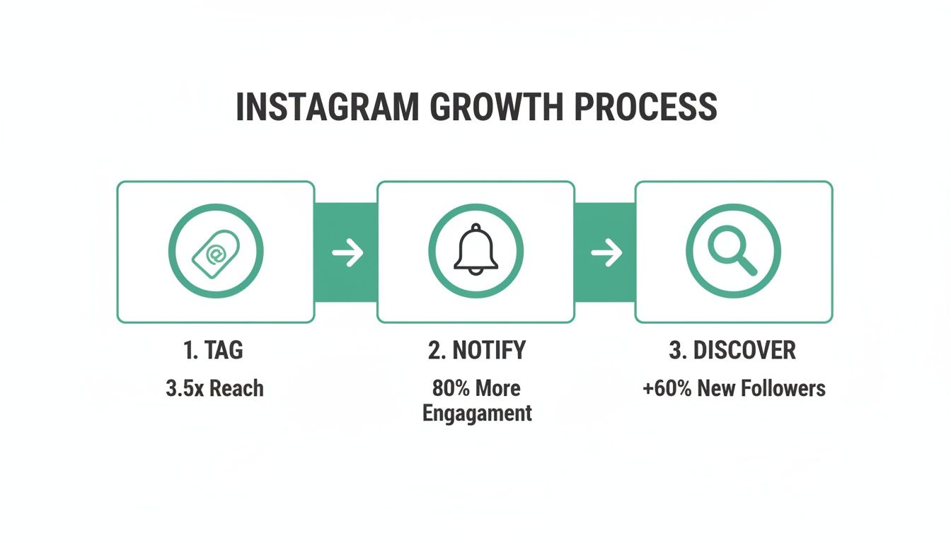Infographic showing Instagram growth process with steps: Tag, Notify, and Discover, and their respective benefits.
