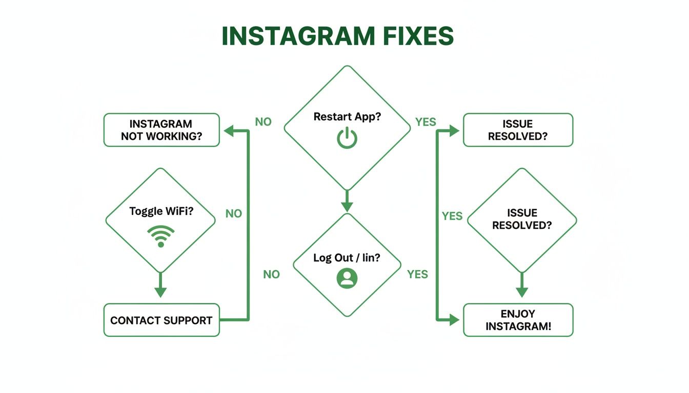A green flowchart detailing common troubleshooting steps for Instagram not working, including restart and login.