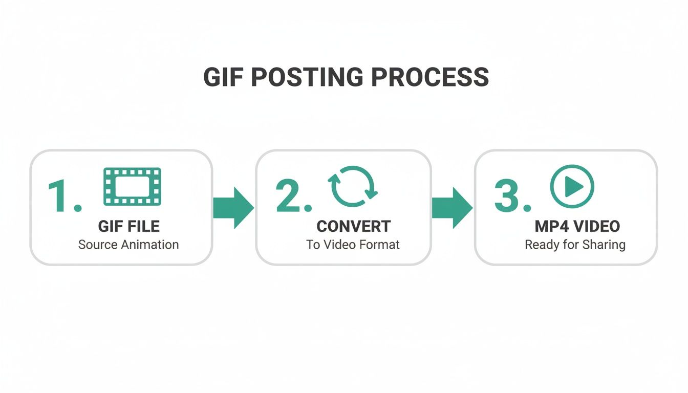 Infographic showing the GIF posting process, from source animation to MP4 video for sharing.