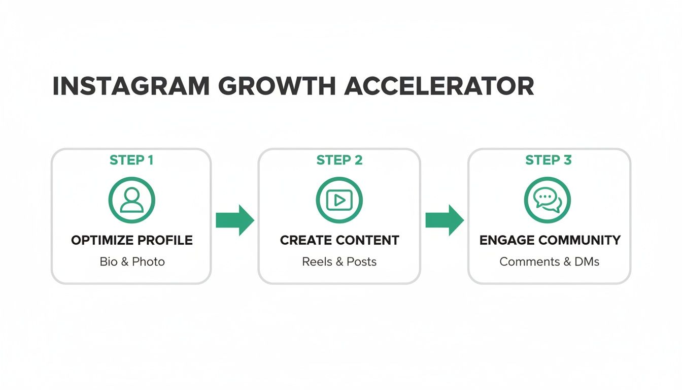 A 3-step Instagram growth accelerator process: optimize profile, create content, and engage community.