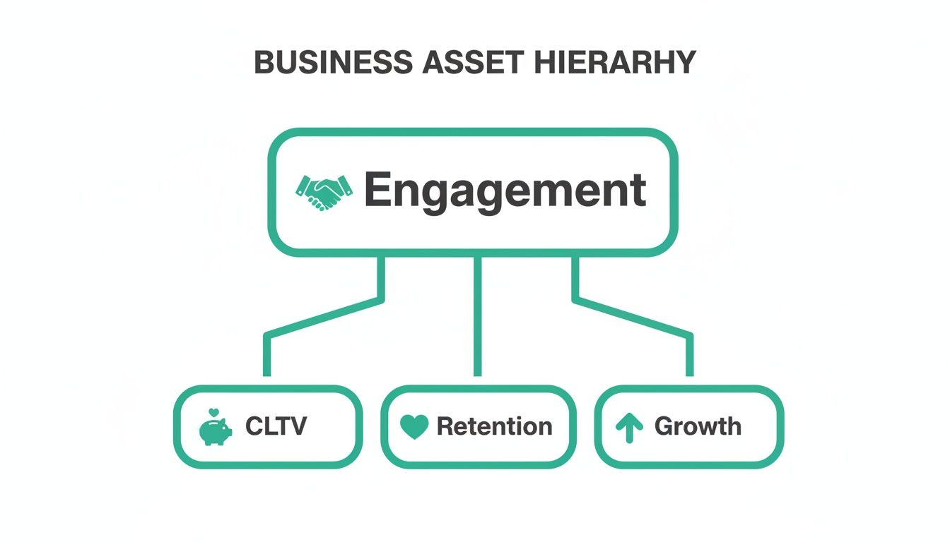 A business asset hierarchy diagram showing Engagement as the top level, leading to CLTV, Retention, and Growth.
