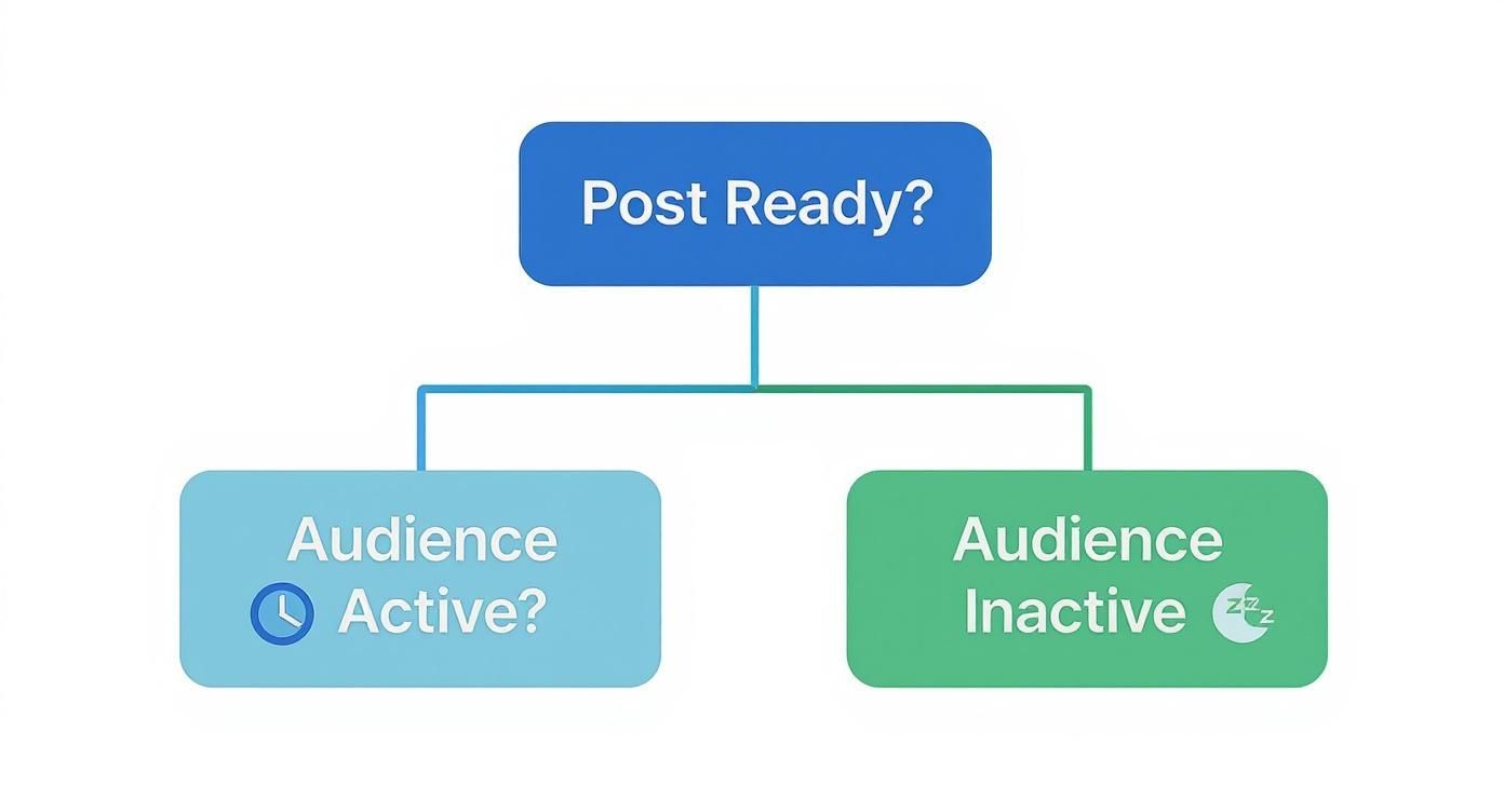 Infographic about how to promote an instagram post