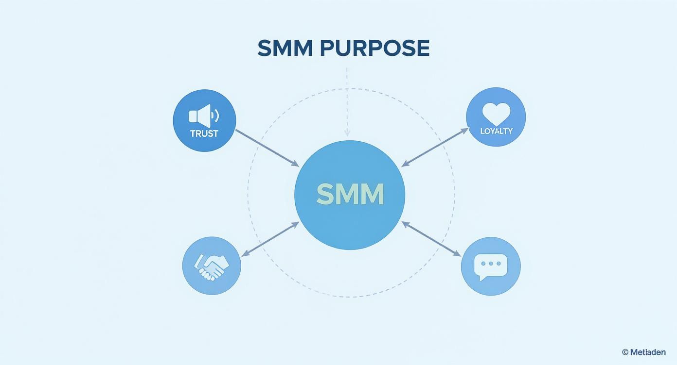 Infographic about social media marketing for beginners