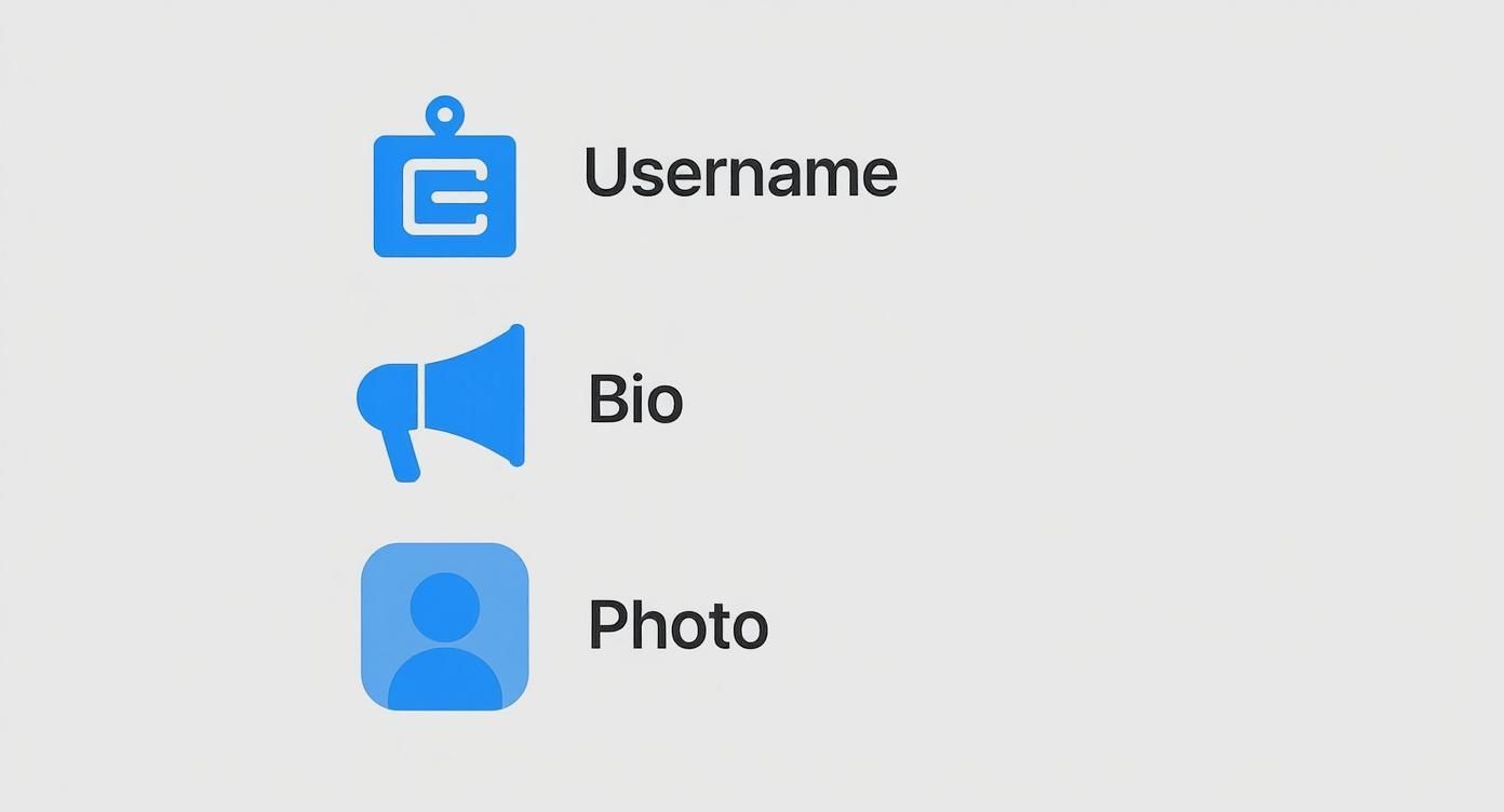 Social media profile setup interface showing username, bio, and photo icons for Instagram account customization