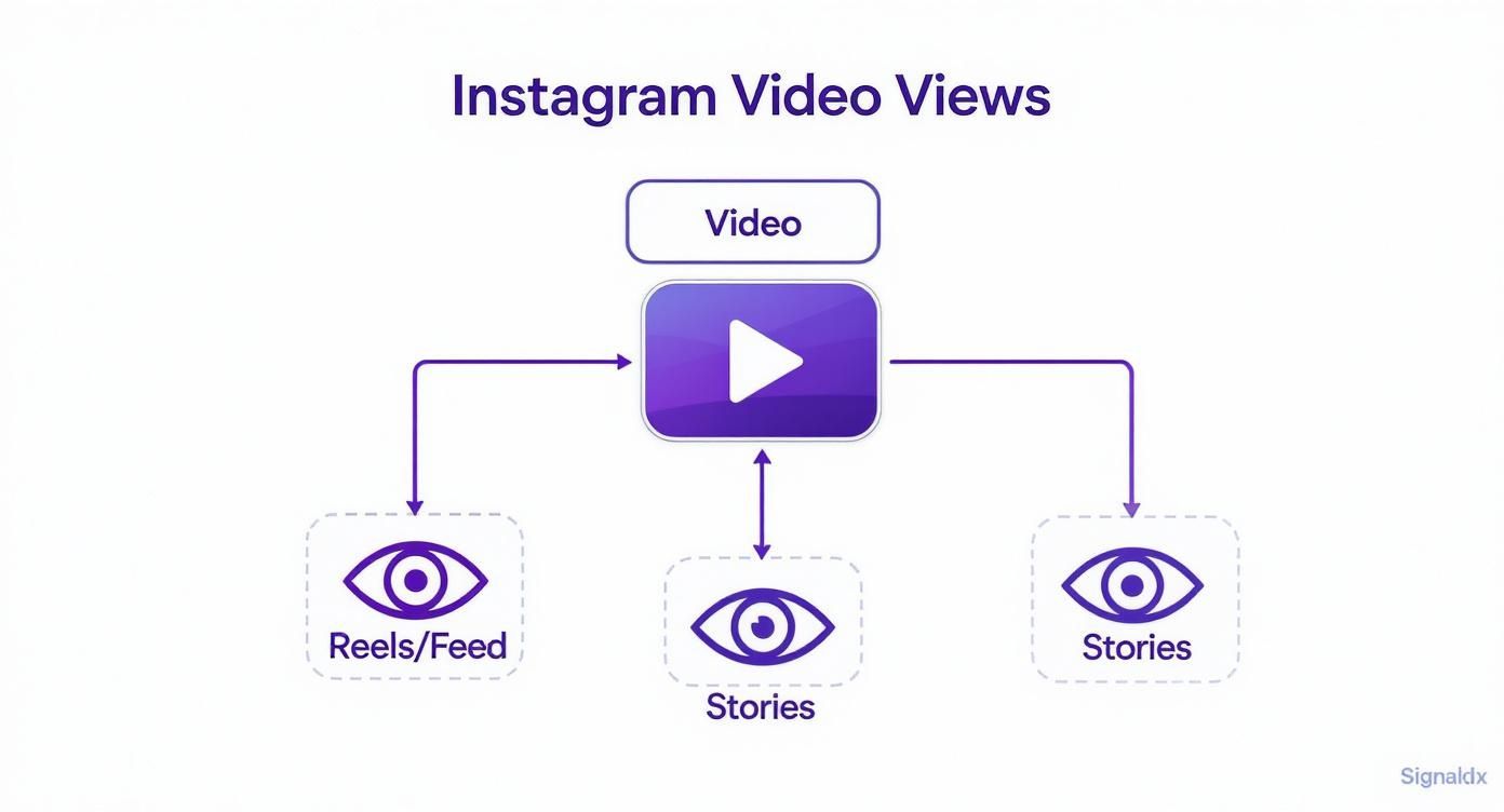 Infographic about does instagram show who viewed your video