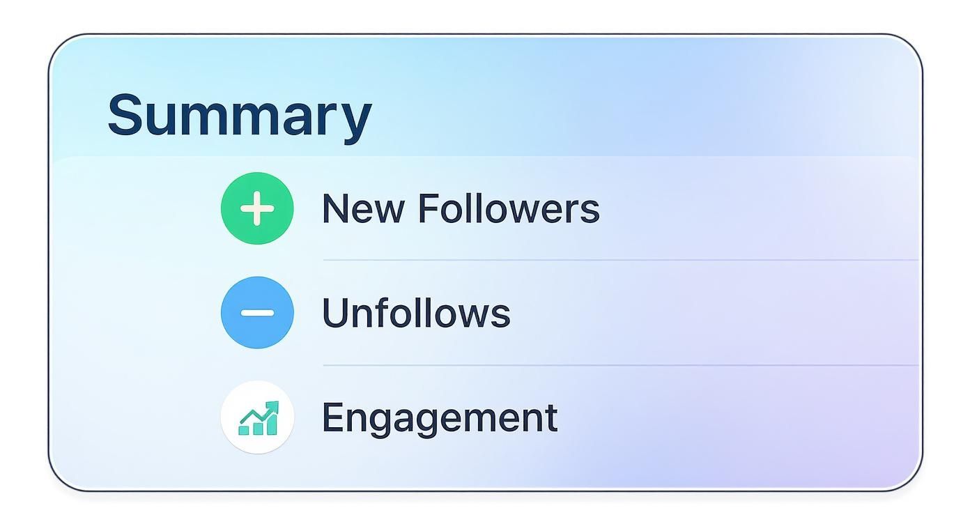 Infographic about instagram follow tracker