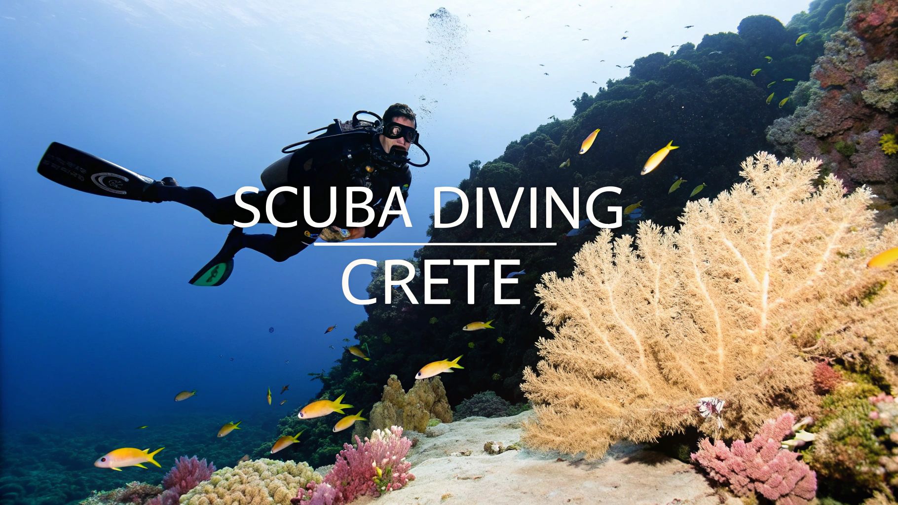 Scuba Diving in Crete: Top Dive Sites & Marine Encounters