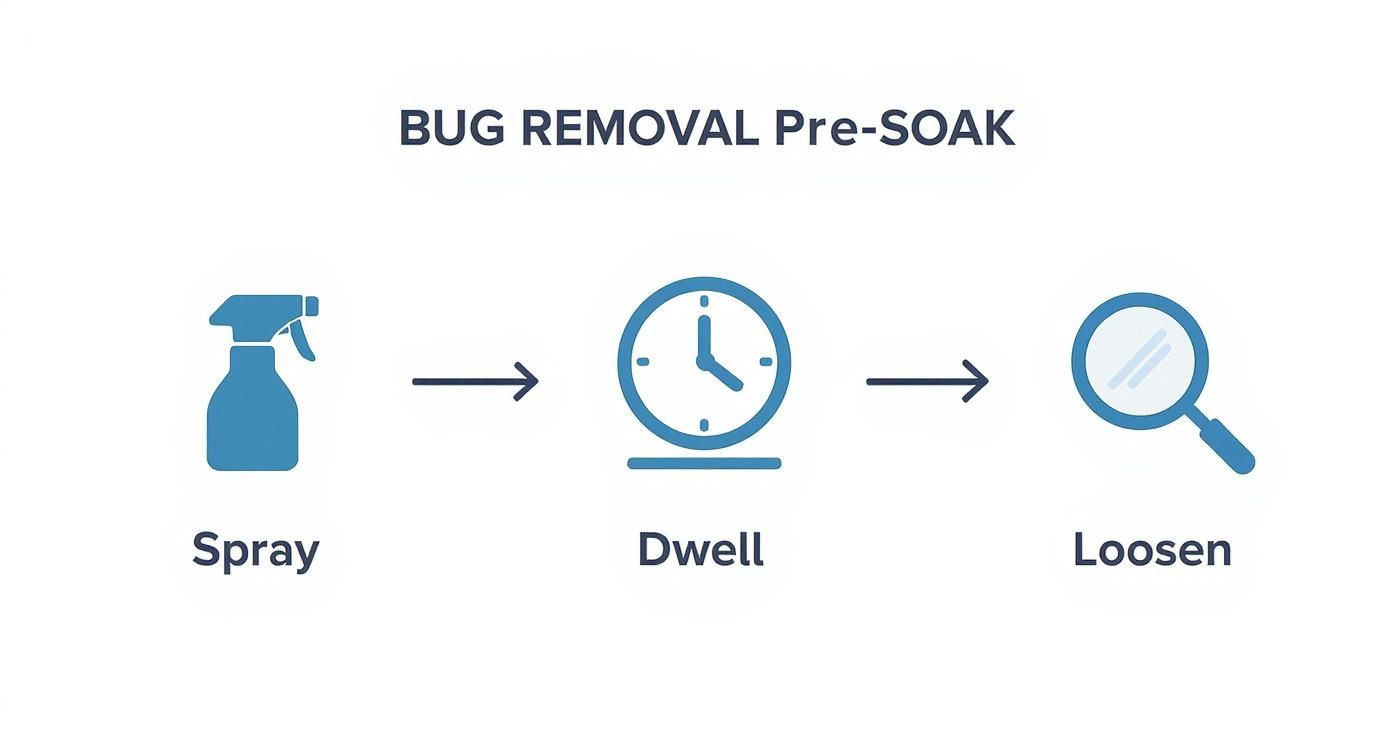 Three step process showing spray bottle, clock for dwell time, and magnifying glass to loosen bugs before washing car