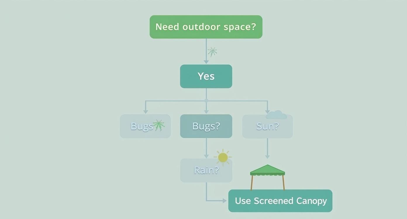 Infographic about 10 x 10 screened canopy