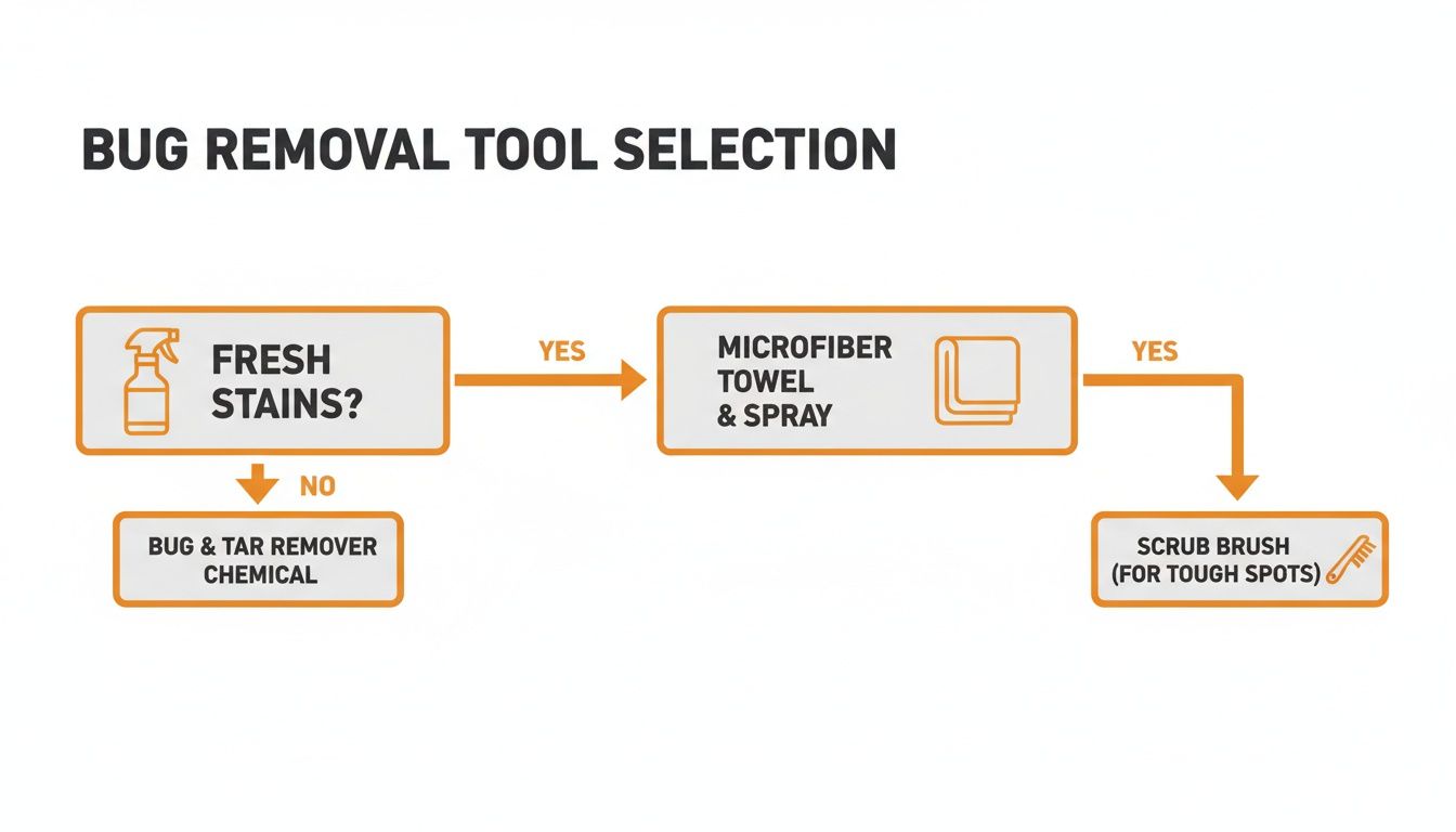 Flowchart for bug removal tool selection: fresh stains use microfiber towel and spray, for tough spots a scrub brush, and old stains use bug & tar remover chemical.
