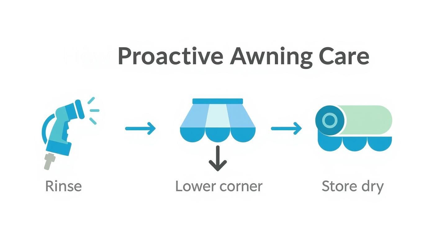 Infographic showing three steps for proactive awning care: Rinse with a hose, lower one corner to drain, and store when dry.