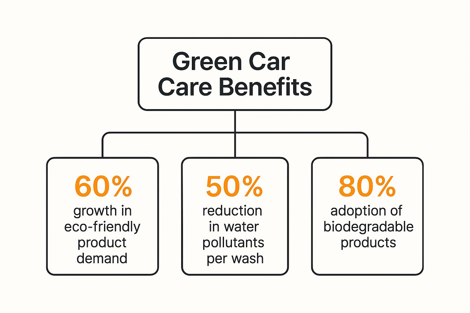Infographic about eco friendly car cleaning products