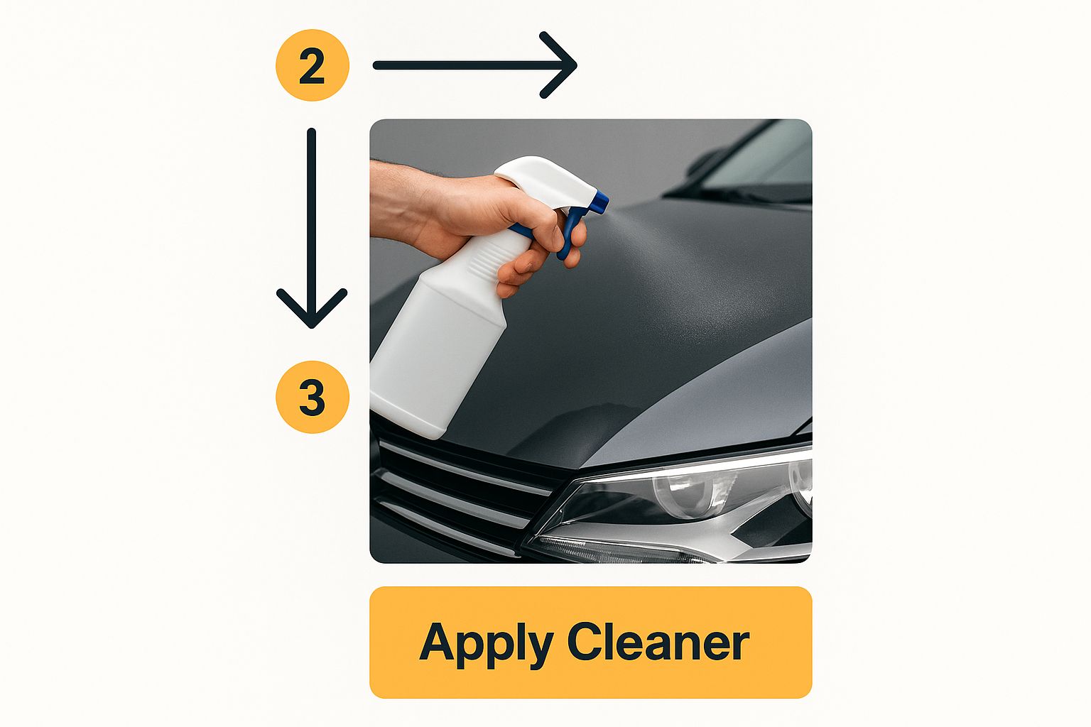 Infographic about how to remove tree sap from car