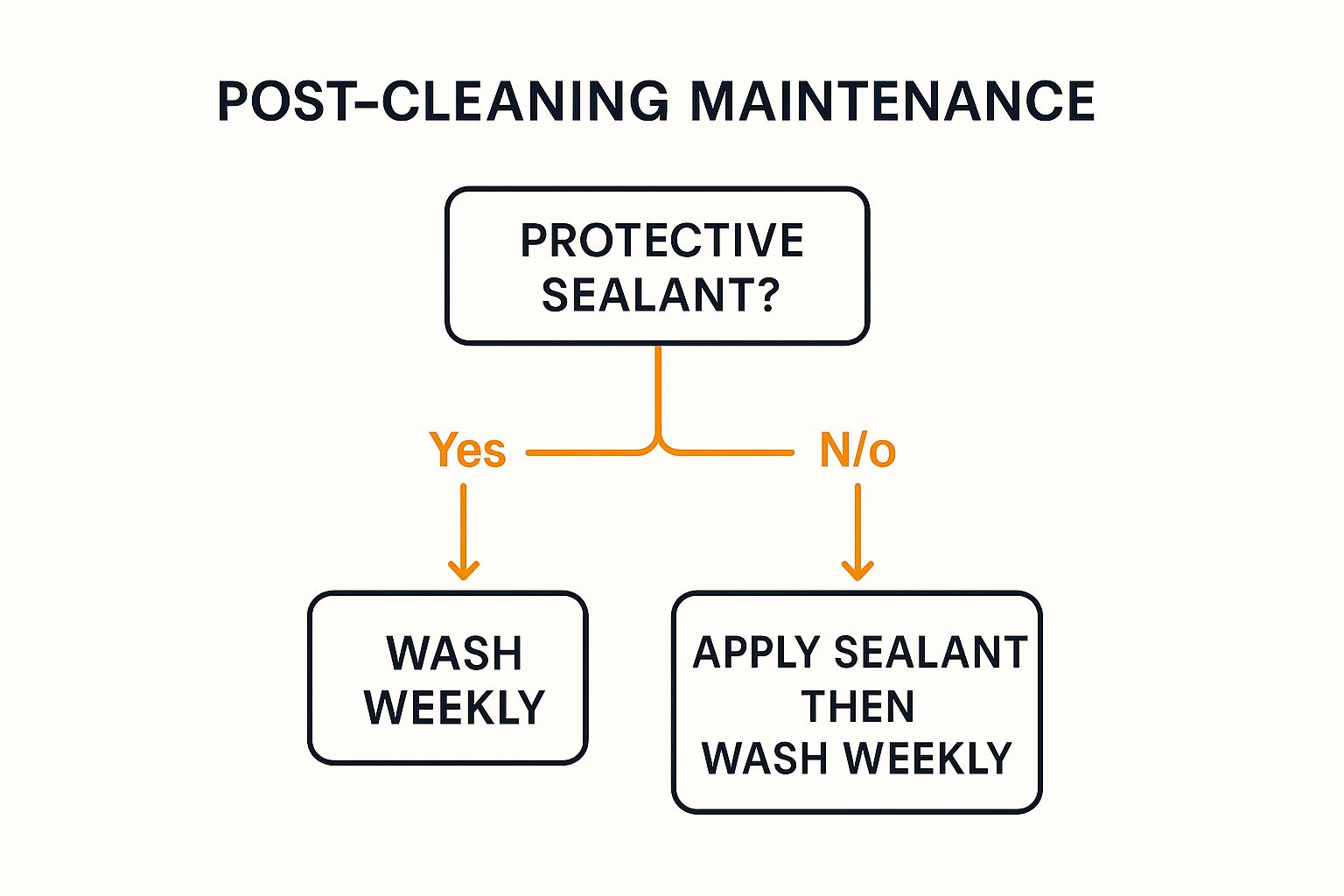Infographic about remove water spots from car