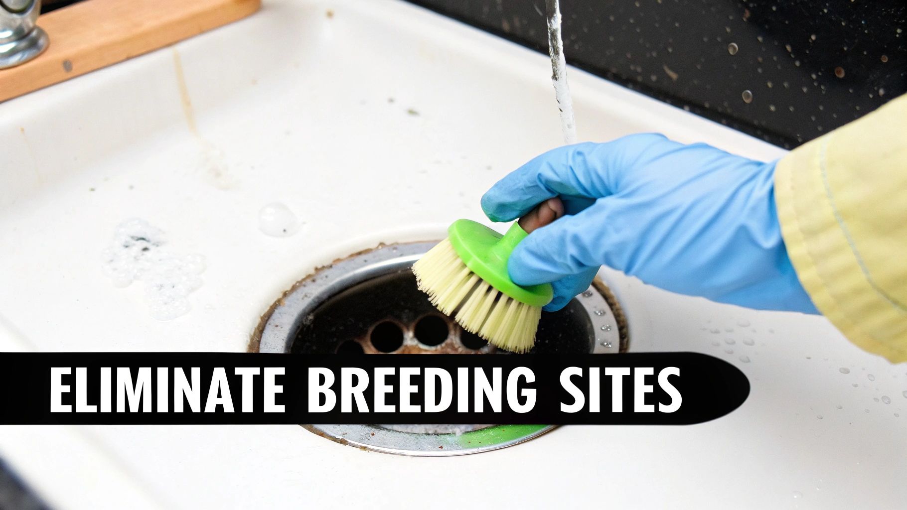 A person in blue gloves uses a green brush to clean a dirty kitchen sink drain, emphasizing pest control.