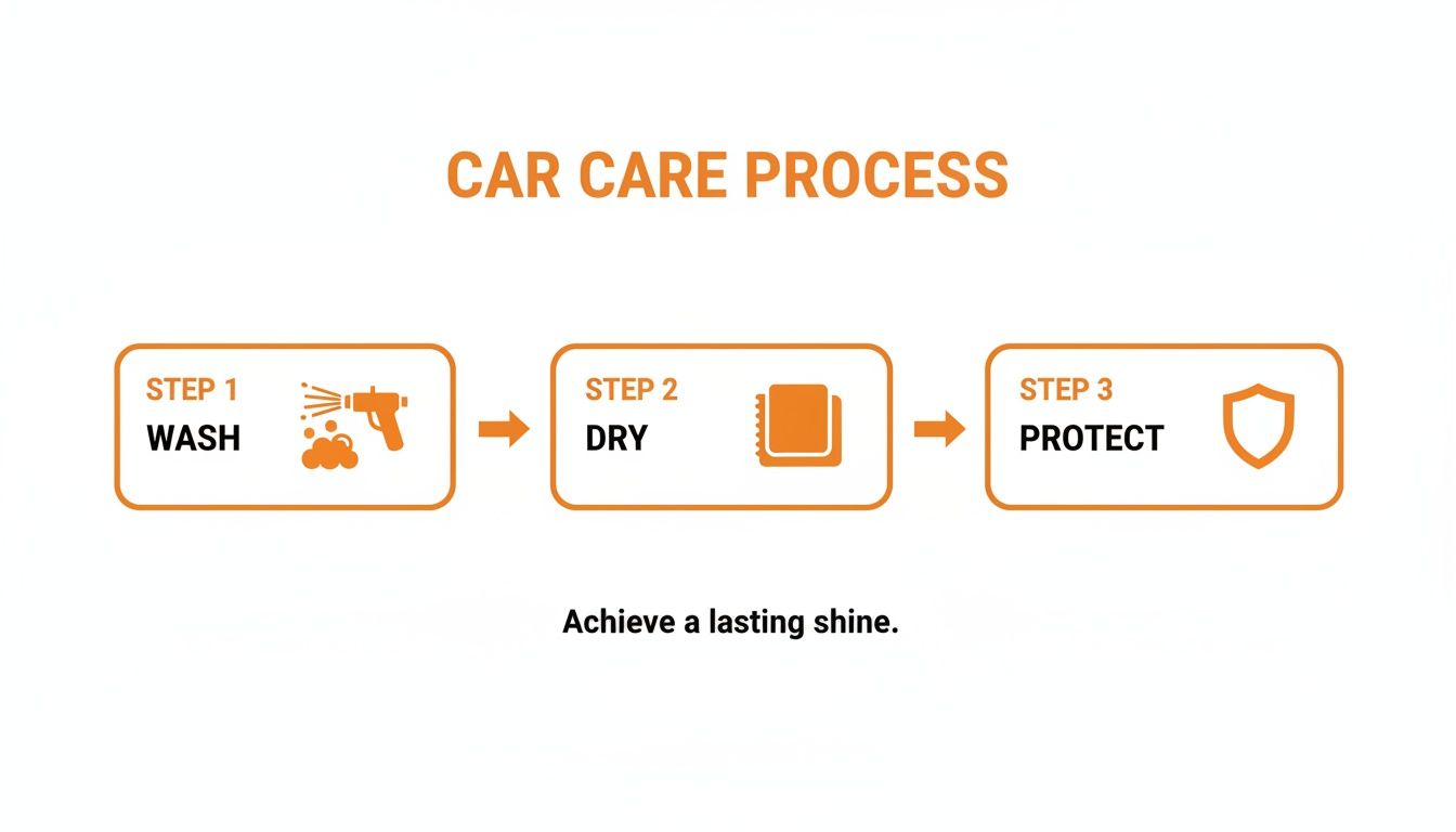 A three-step car care process diagram showing wash, dry, and protect with icons.