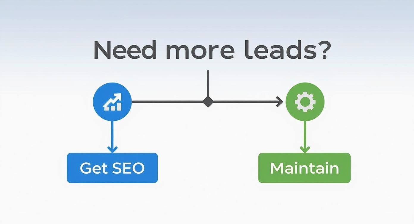Infographic about search engine optimization consulting