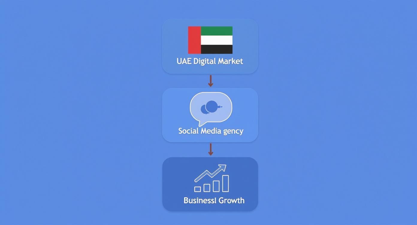 Infographic about social media agencies uae