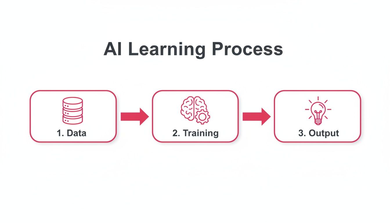 A diagram illustrating the AI learning process: Data input, followed by Training, leading to the final Output.