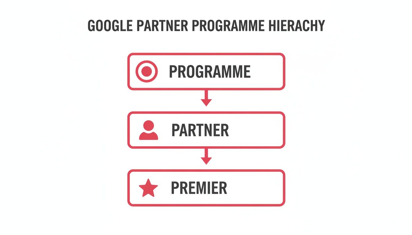 Infographic about google partner