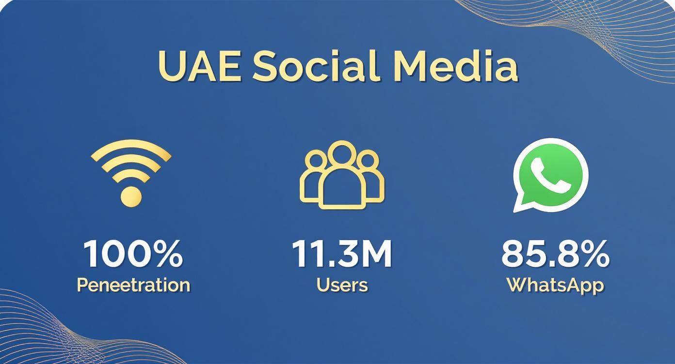 Infographic showing UAE social media statistics: 100% penetration, 11.3M users, and 85.8% WhatsApp usage.