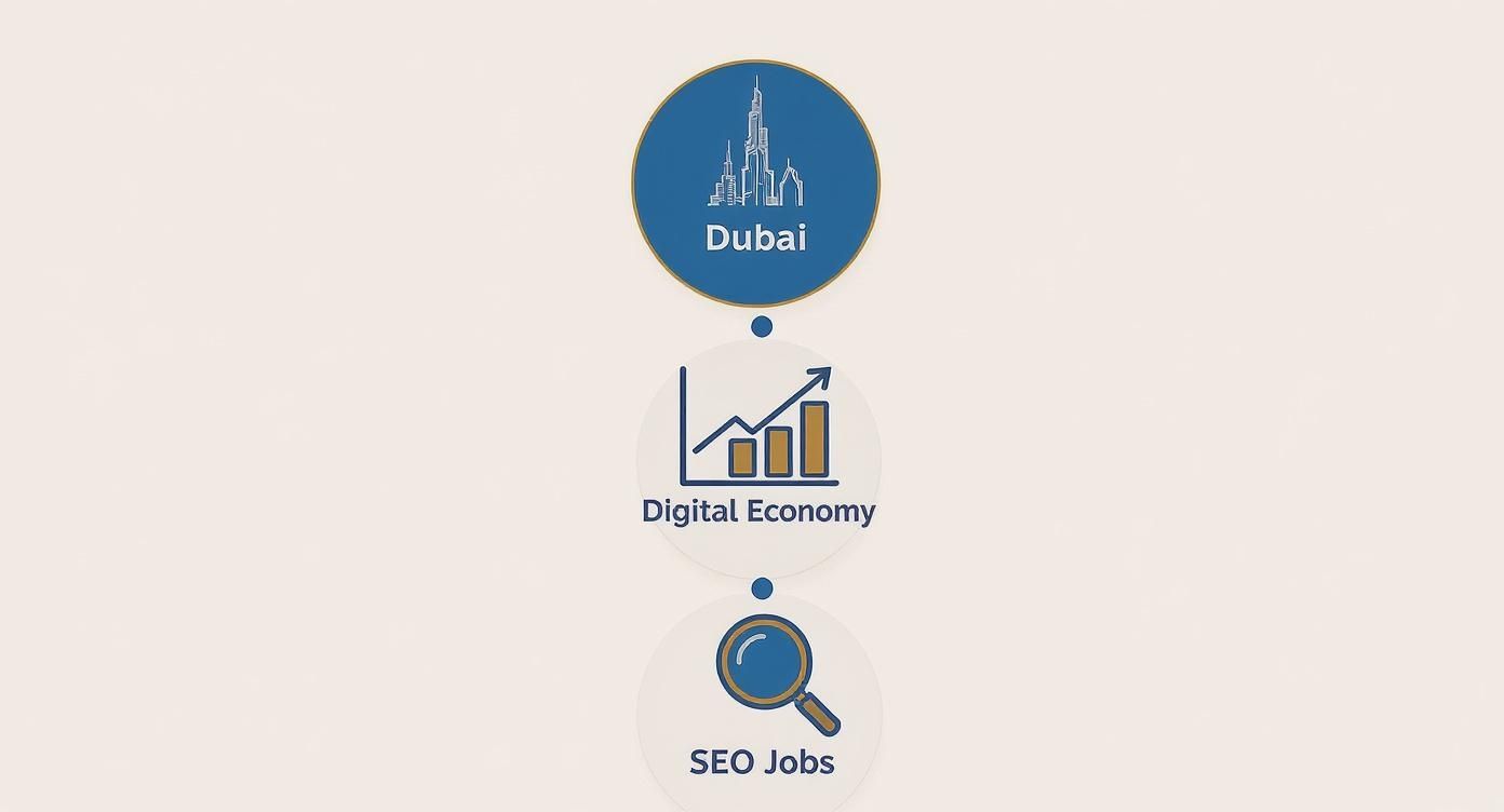 Infographic about seo jobs in dubai uae
