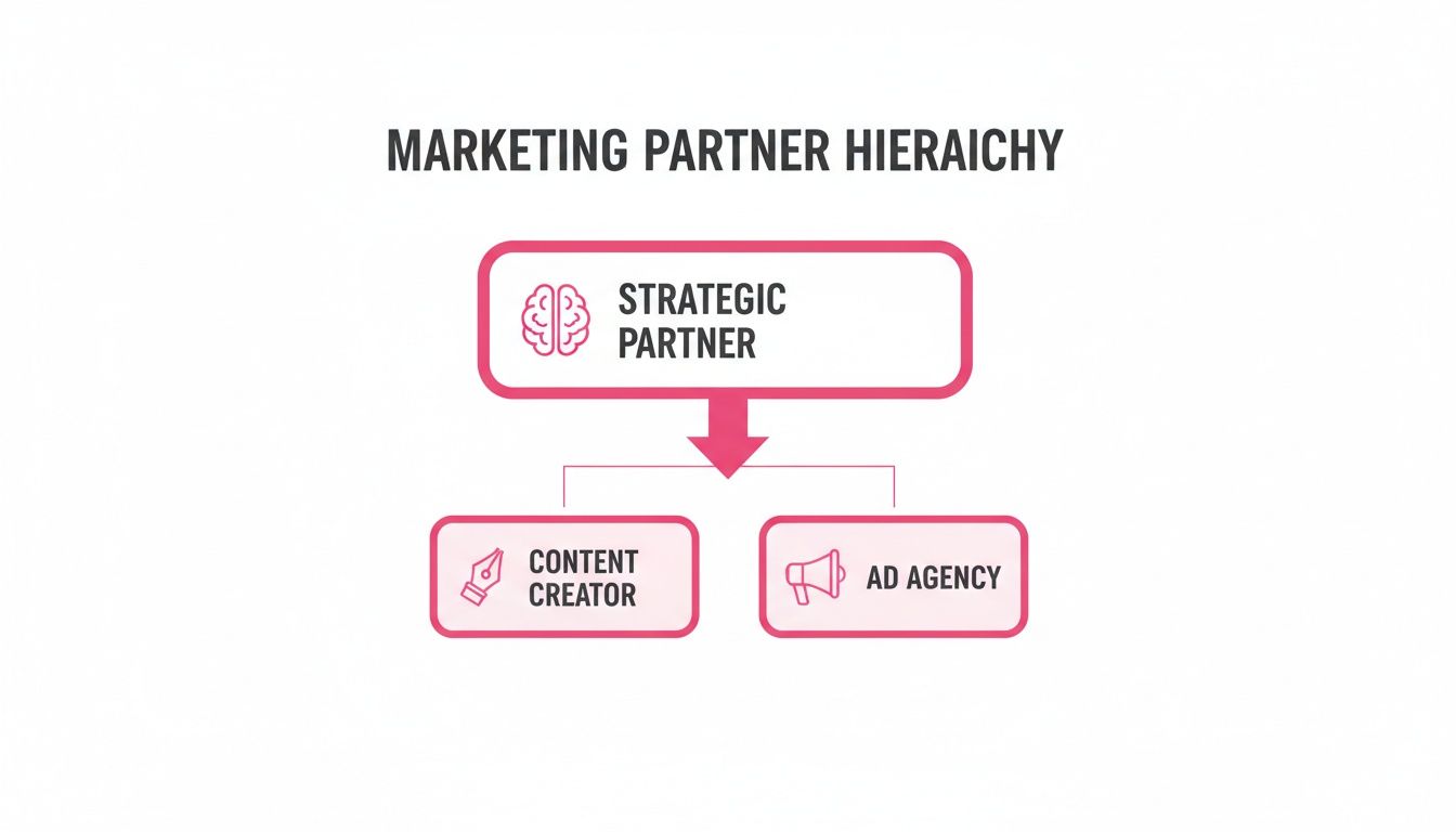 A diagram illustrating a marketing partner hierarchy: Strategic Partner collaborating with Content Creator and Ad Agency.