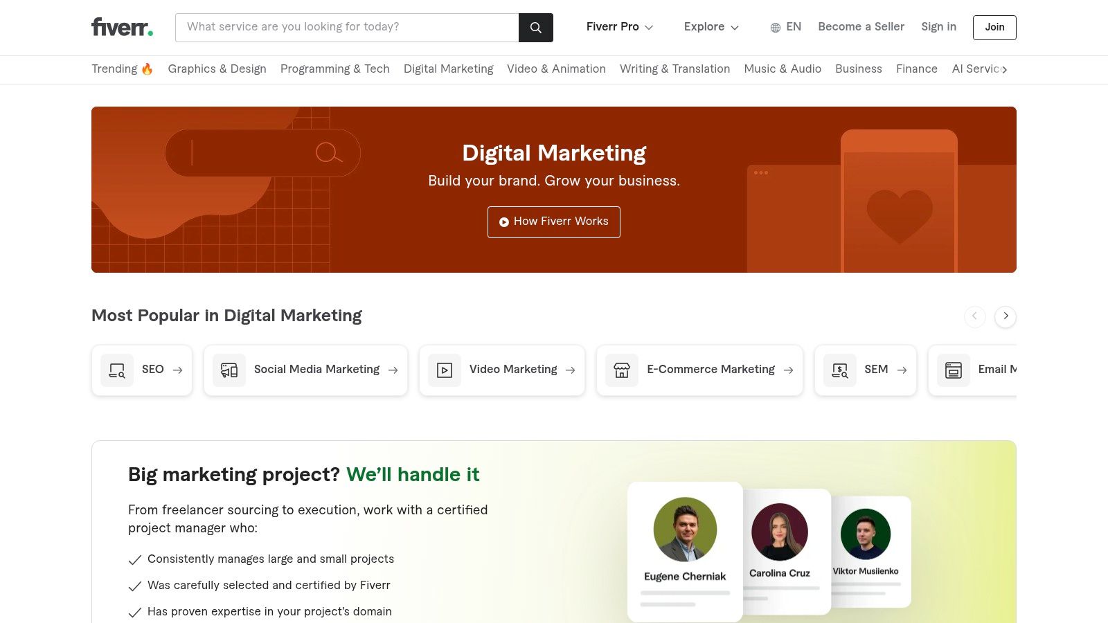 Fiverr (Social Media Marketing)