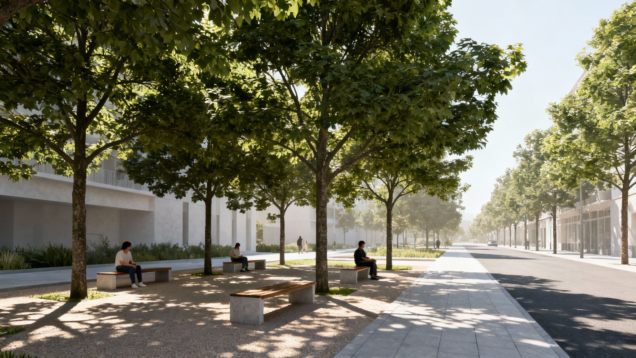 Árboles frondosos dando sombra en una calle urbana de Valencia, mejorando el confort térmico.
