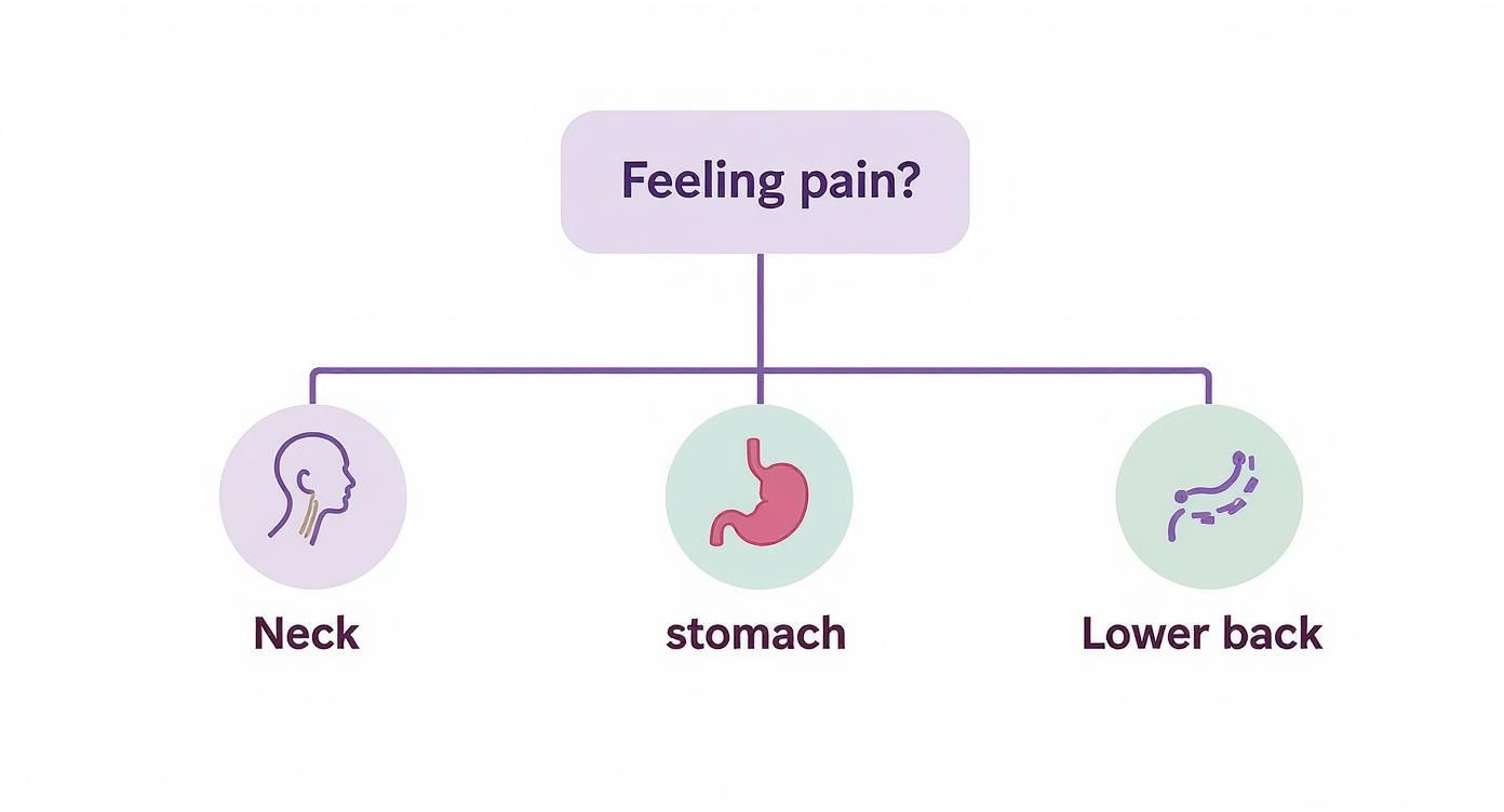 An infographic decision tree showing what type of heating pad to use for neck, cramp, or back pain.