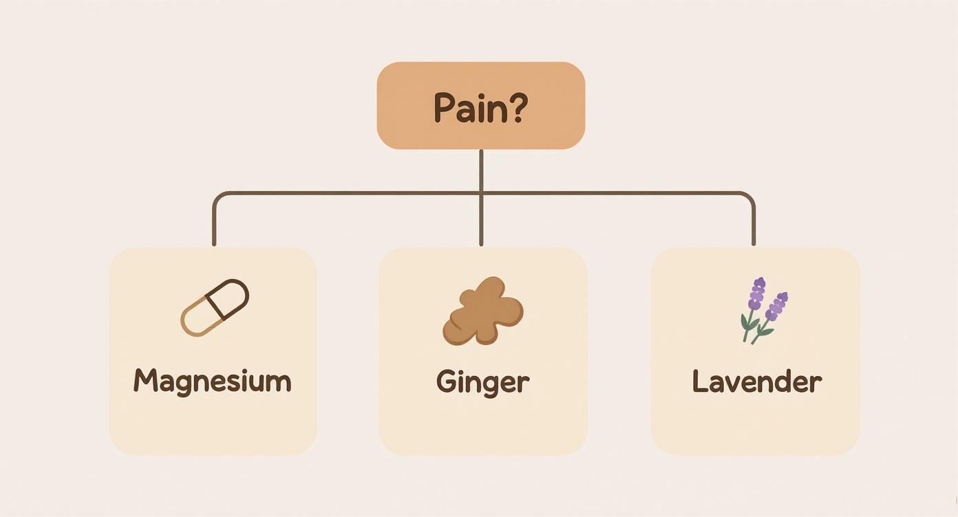 Infographic about how to relieve menstrual cramps naturally