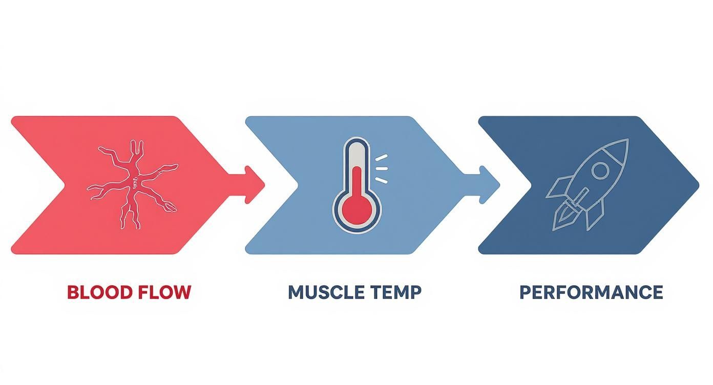 Infographic about how to warm up before exercise