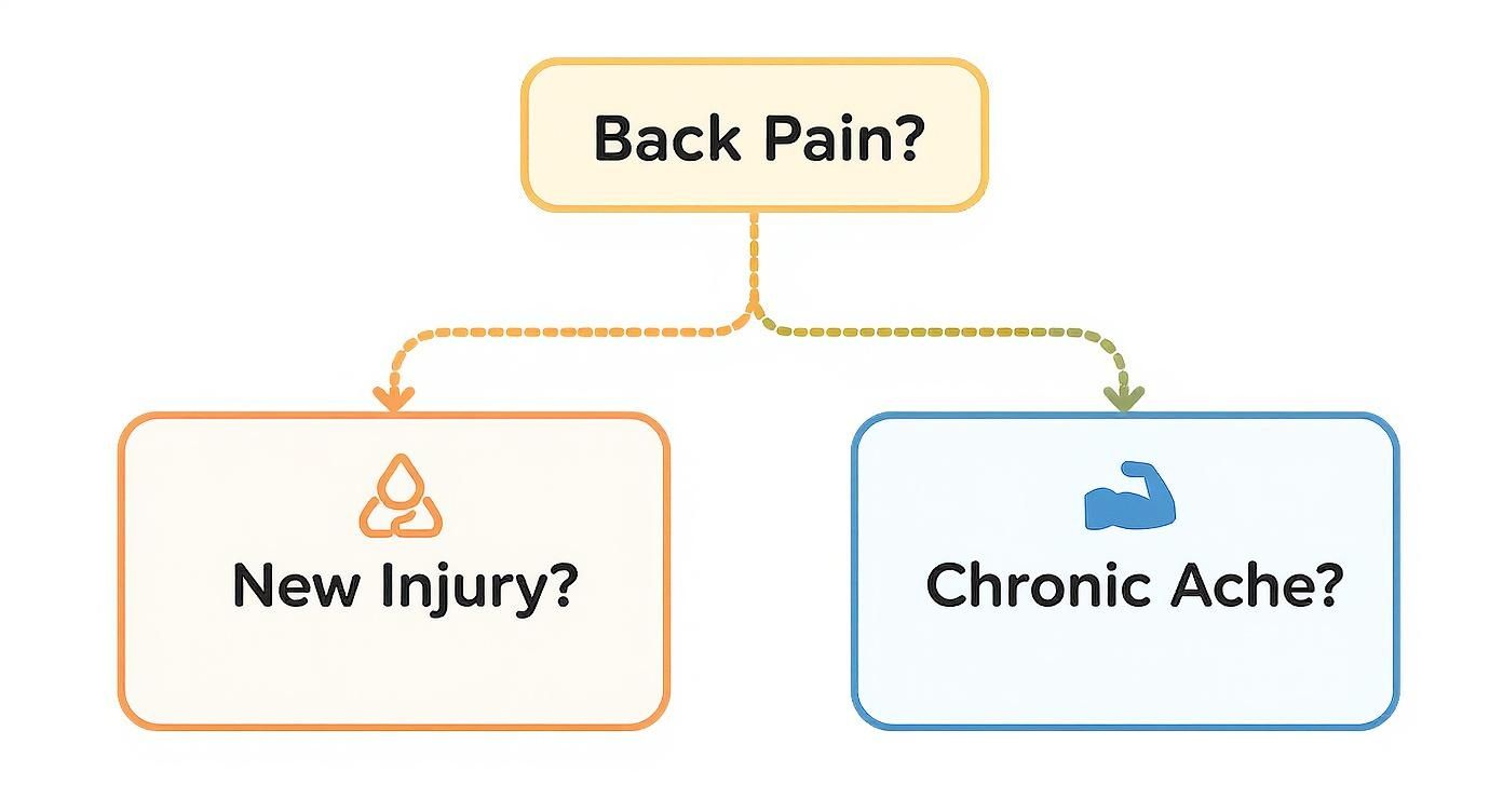 Infographic decision tree for choosing between heat and cold for back pain relief.