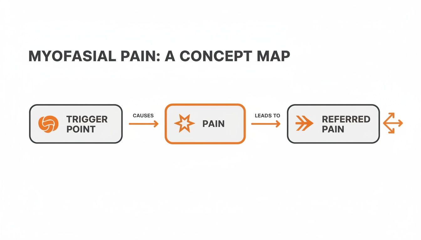 A concept map illustrating myofascial pain: trigger points cause pain, leading to referred pain.
