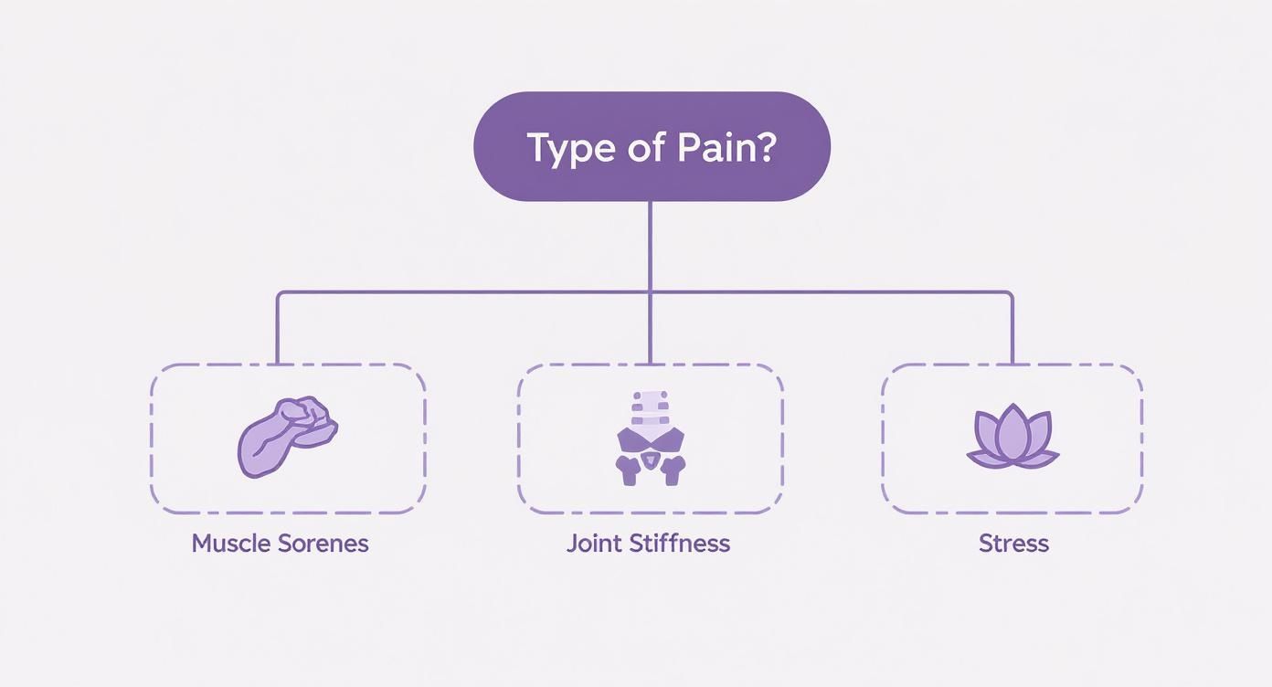 A flowchart categorizing different types of pain: muscle soreness, joint stiffness, and stress.