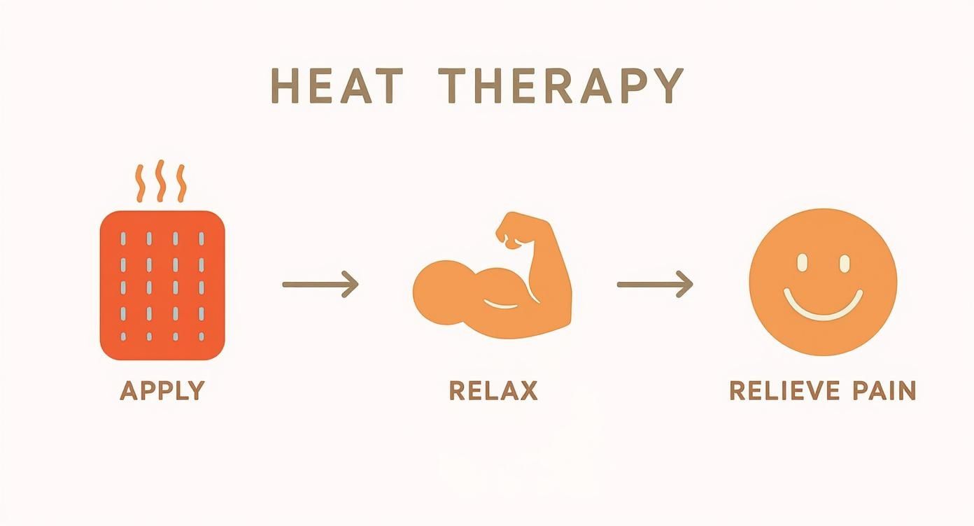 A visual guide showing the best placement for heat packs on different areas of the back.