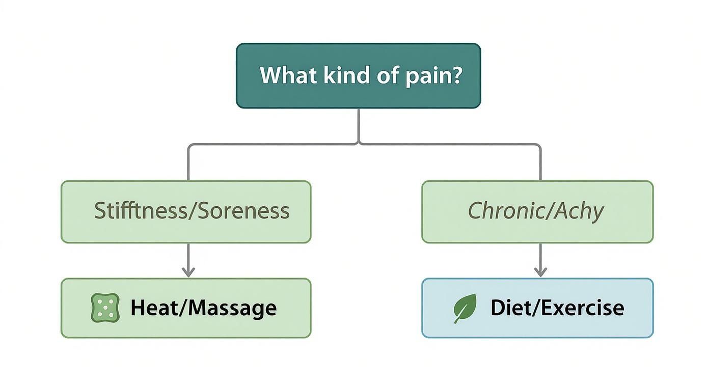 Infographic about how to ease joint pain naturally