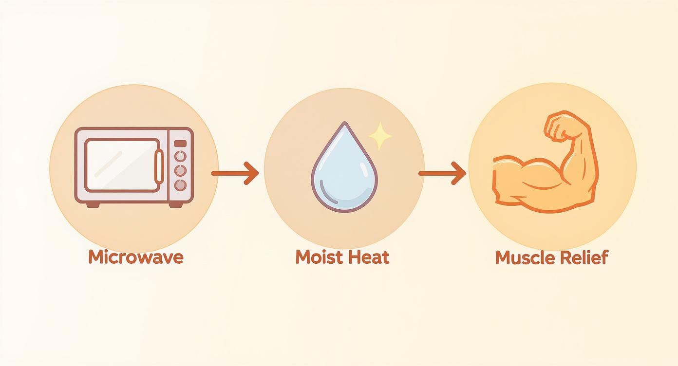An infographic showing a microwave transforming into moist heat, leading to muscle relief.