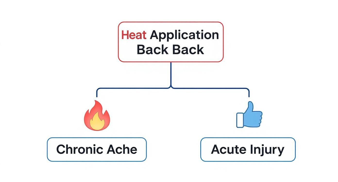 Infographic about heat therapy for back pain