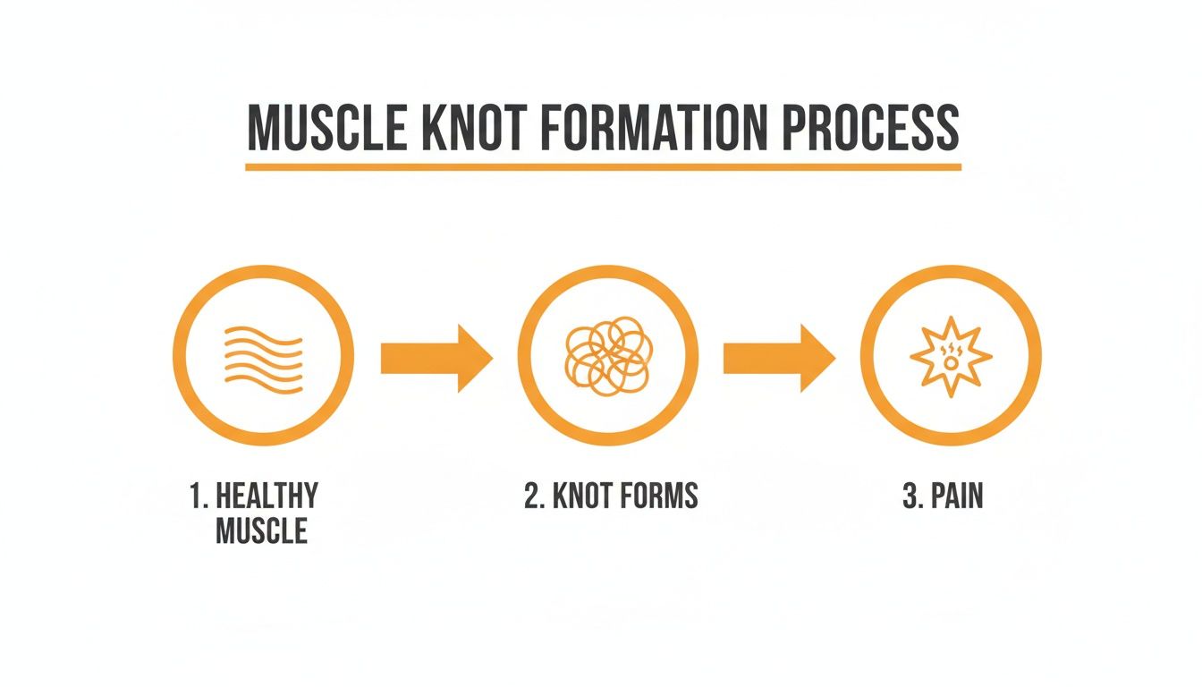 A closer look at Innovative Knot Forms For Unexpected Use