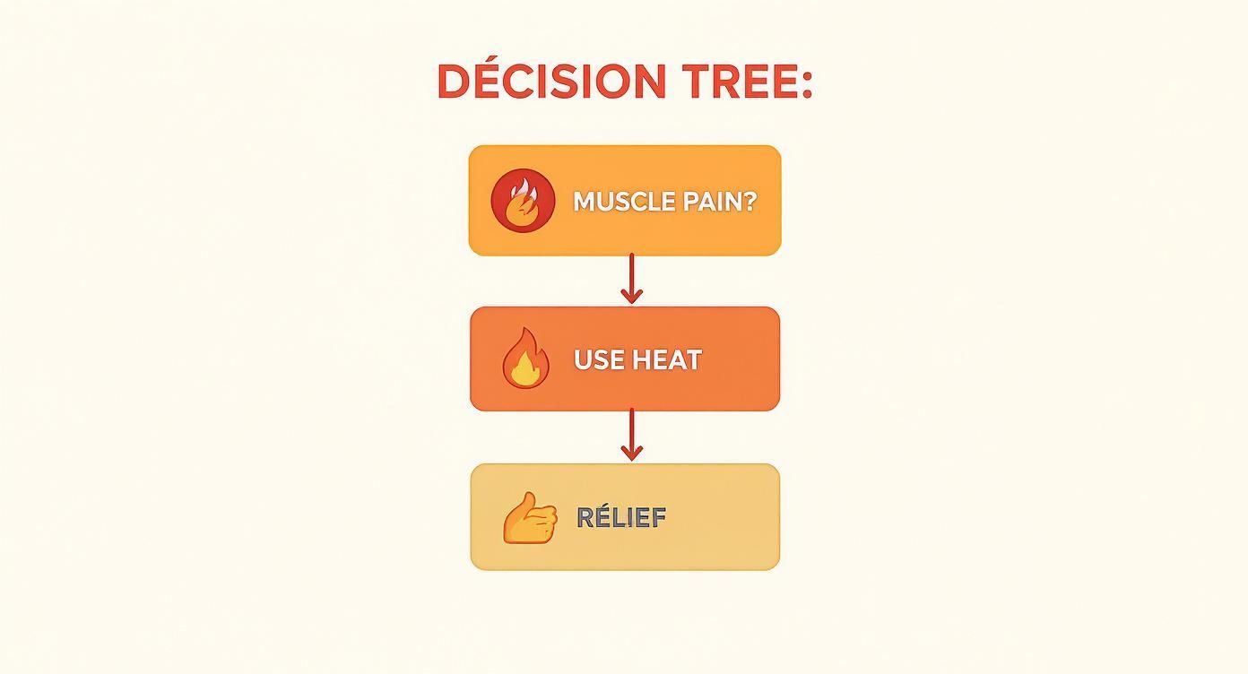 A diagram or illustration showing increased blood flow to a muscle when heat is applied.