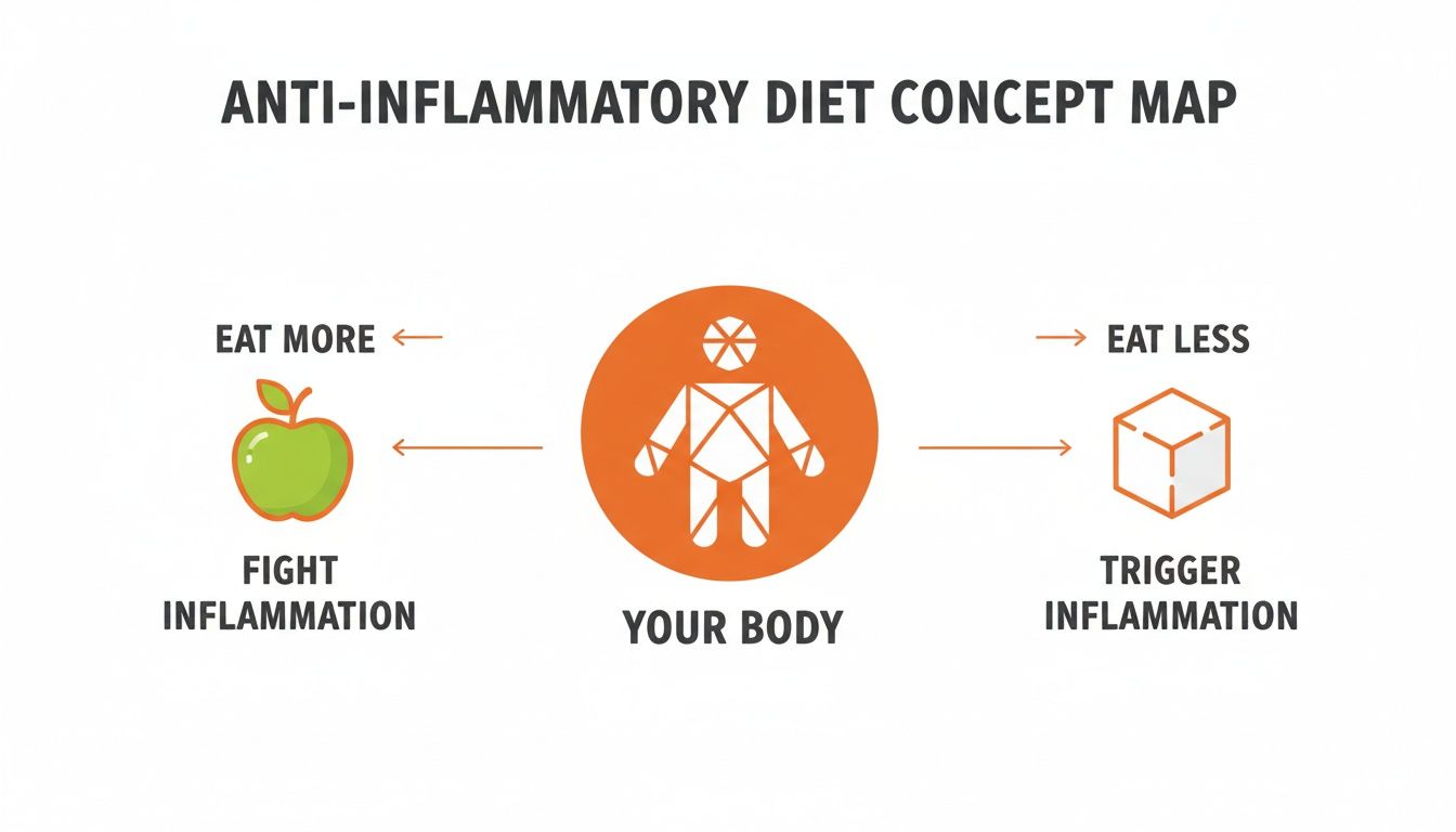Anti-inflammatory diet concept map showing how healthy food fights inflammation and unhealthy food triggers it.
