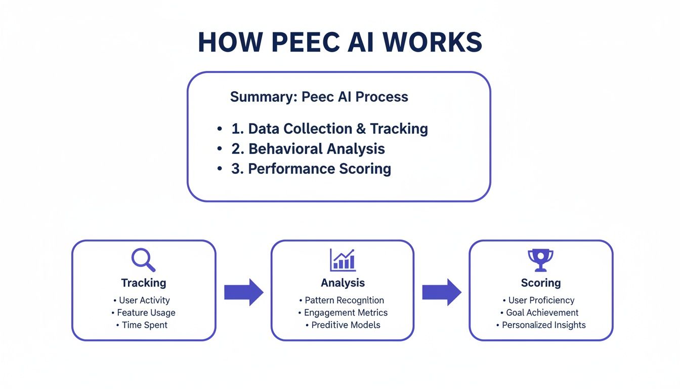 Flowchart explaining how Peec AI works, from data collection to personalized insights.