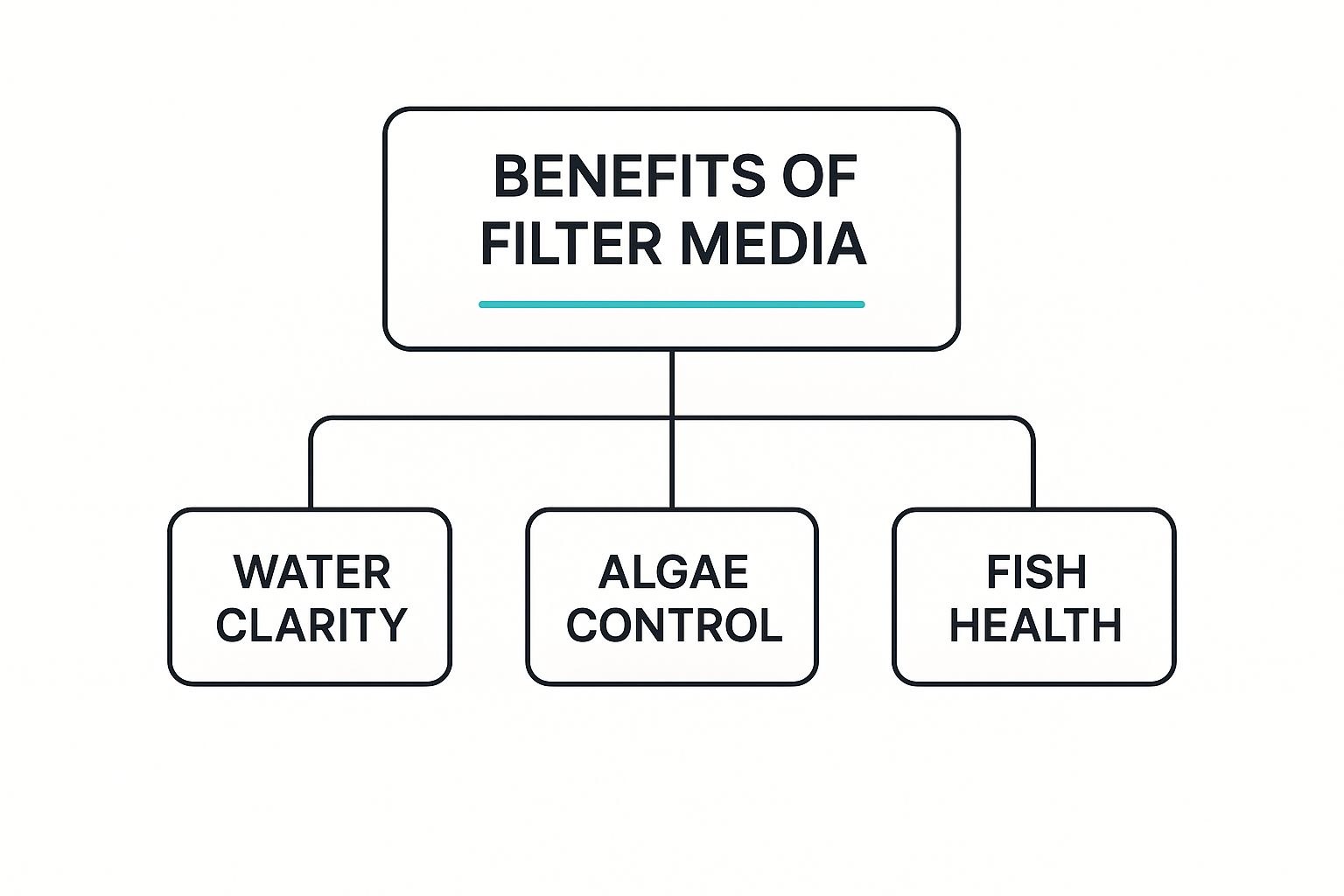 Infographic about filter media for ponds