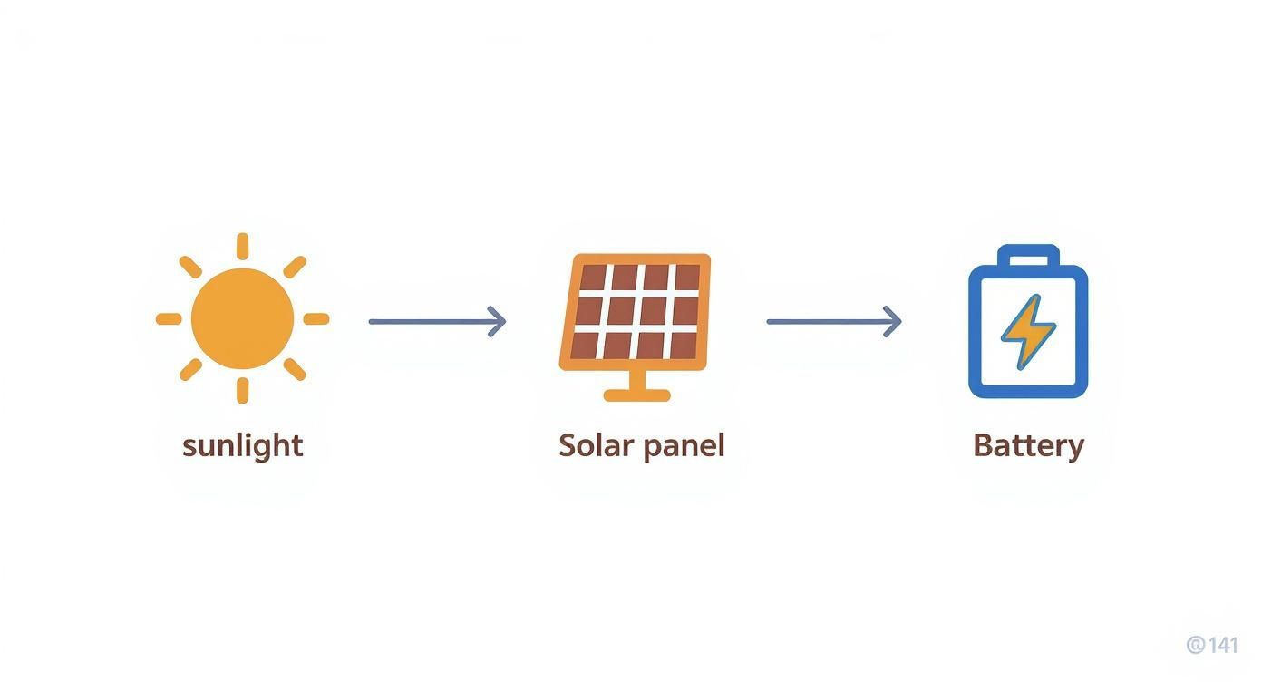 Infographic about best backpack solar charger