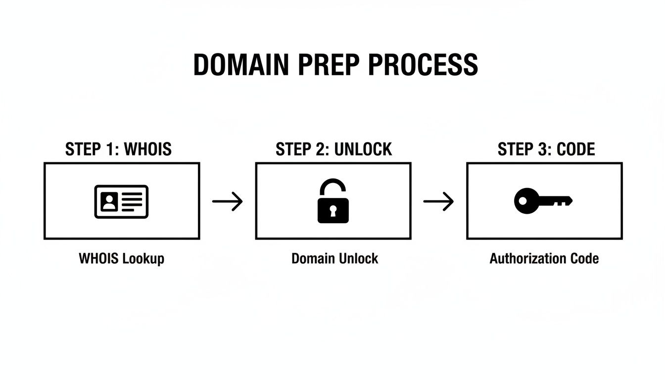 Infographic showing three steps for domain preparation: WHOIS lookup, domain unlock, and authorization code.