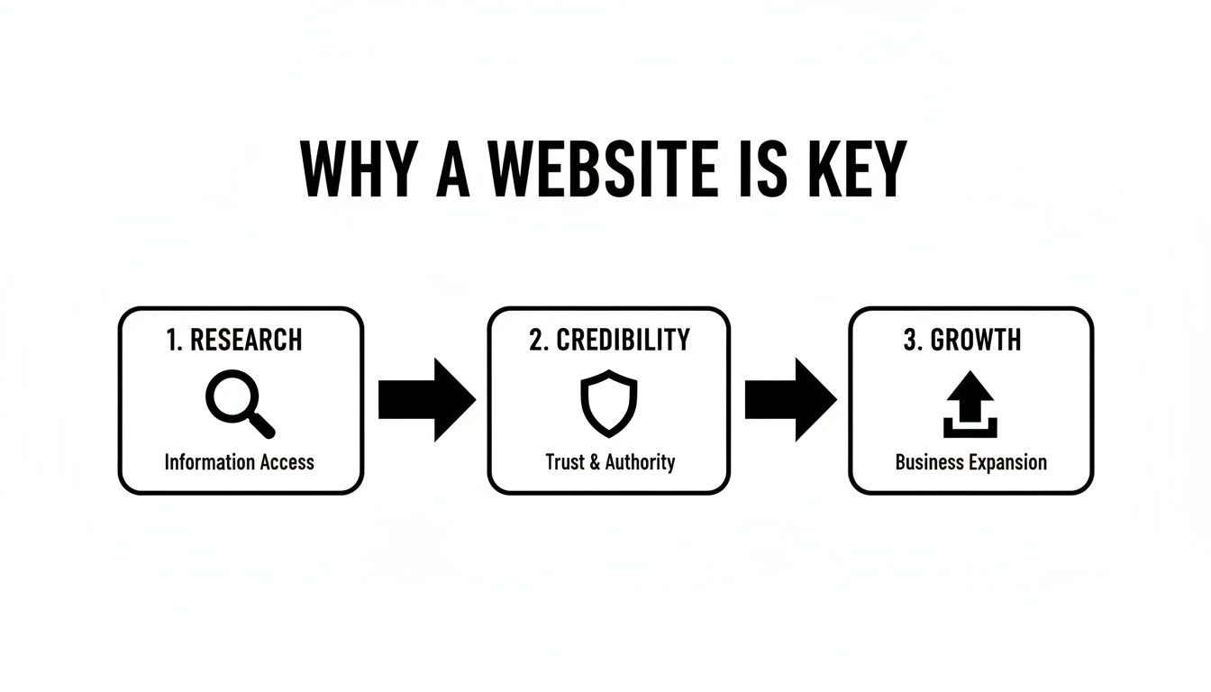 Infographic showing how a website is key for businesses, detailing research, credibility, and growth.