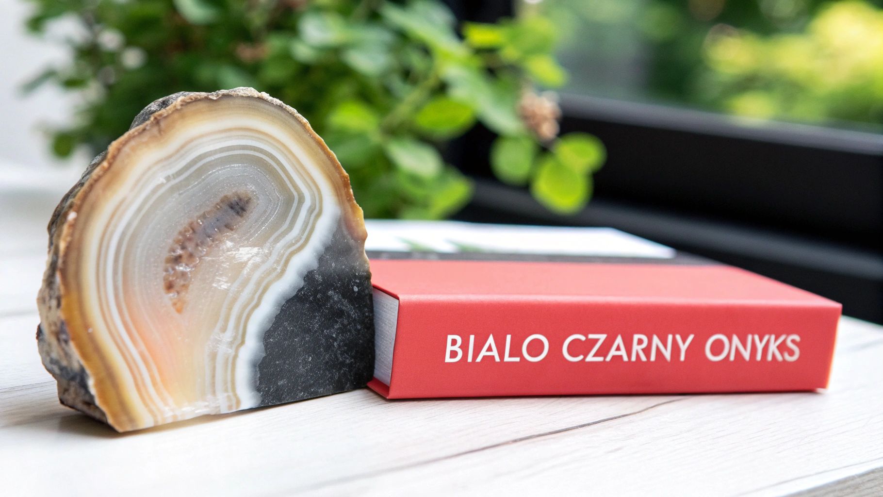 Biało czarny agat onyks leżący obok czerwonej książki na drewnianym stole z roślinami w tle
